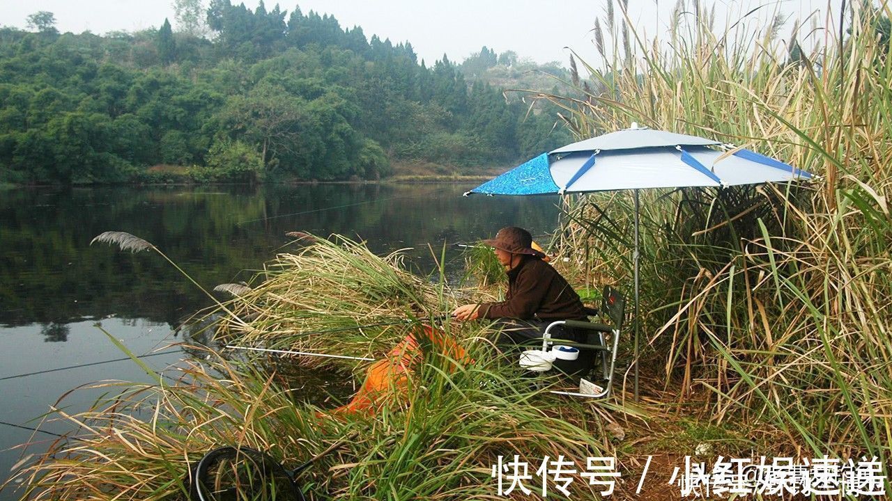 钓鱼|3段亲身经历，提醒钓友们，不要一人独自夜钓