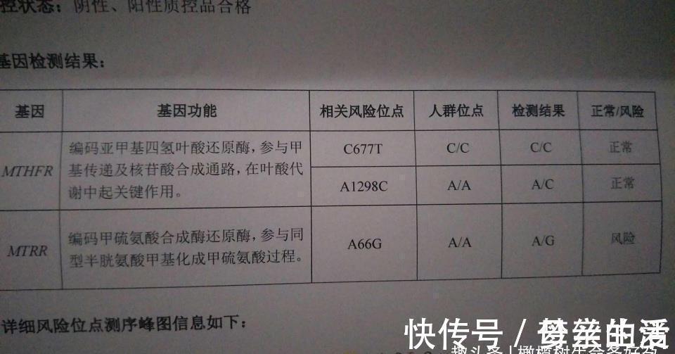 不孕不育|备孕期间，叶酸应该怎么吃？什么时候开始吃？
