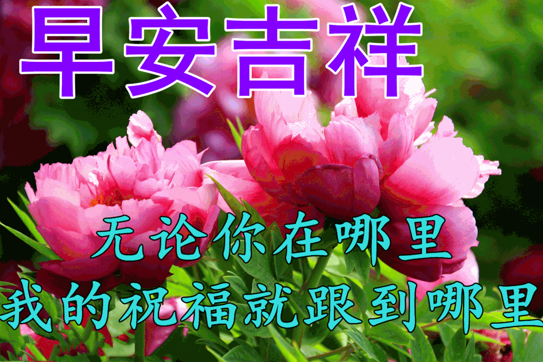 高情商睡醒聊天,晨曦之吻:唤醒爱情与情商的秘密之旅