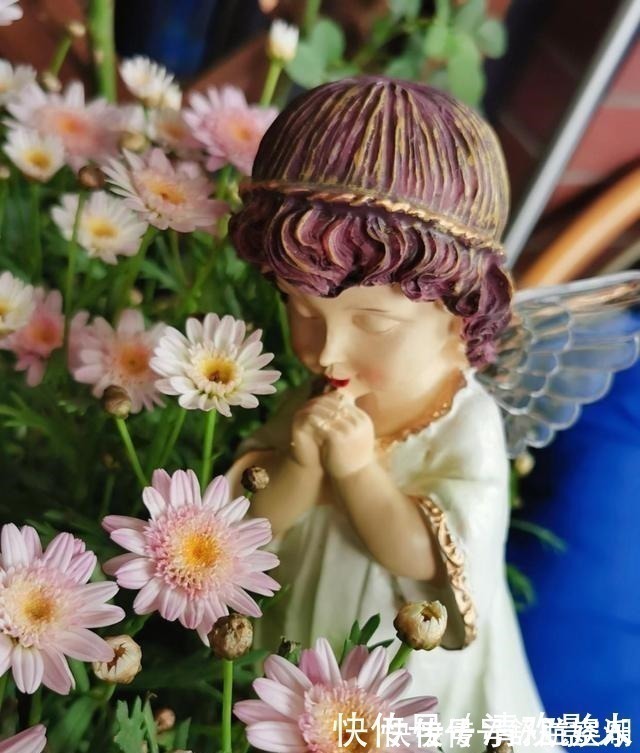 7㎡迷你“阳台造园”小阳台这样布置,也能美成的花园!