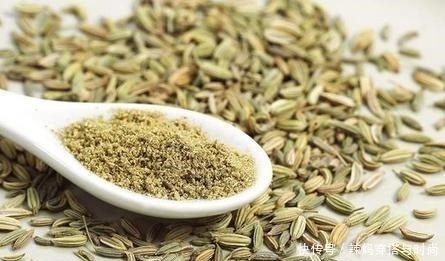 好吃|茴香做馅儿很好吃,但是你知道茴香的前世今生吗我给你介绍一下