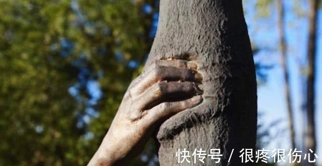 吉塞普@世界上最“孤独”的手,手指紧握树干50多年,游客:不可思议!