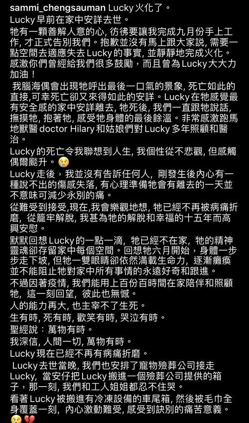 郑秀文许志安经历伤痛后更恩爱，甜蜜挽手逛超市，助男方走出爱犬离世阴霾