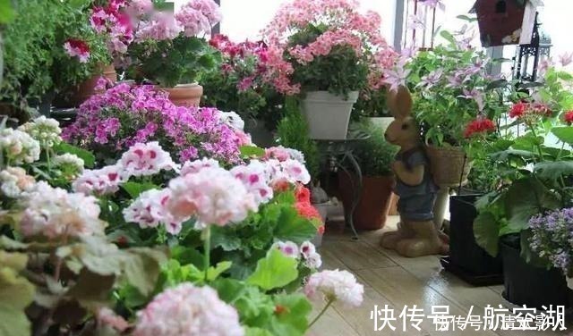 造园|7㎡迷你“阳台造园”小阳台这样布置,也能美成的花园!