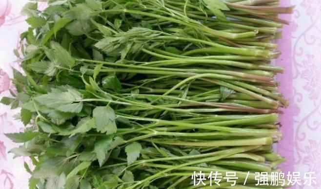 红凤菜|以下五大野菜不建议过量食用,少吃不可贪嘴,有人居然一点不知道