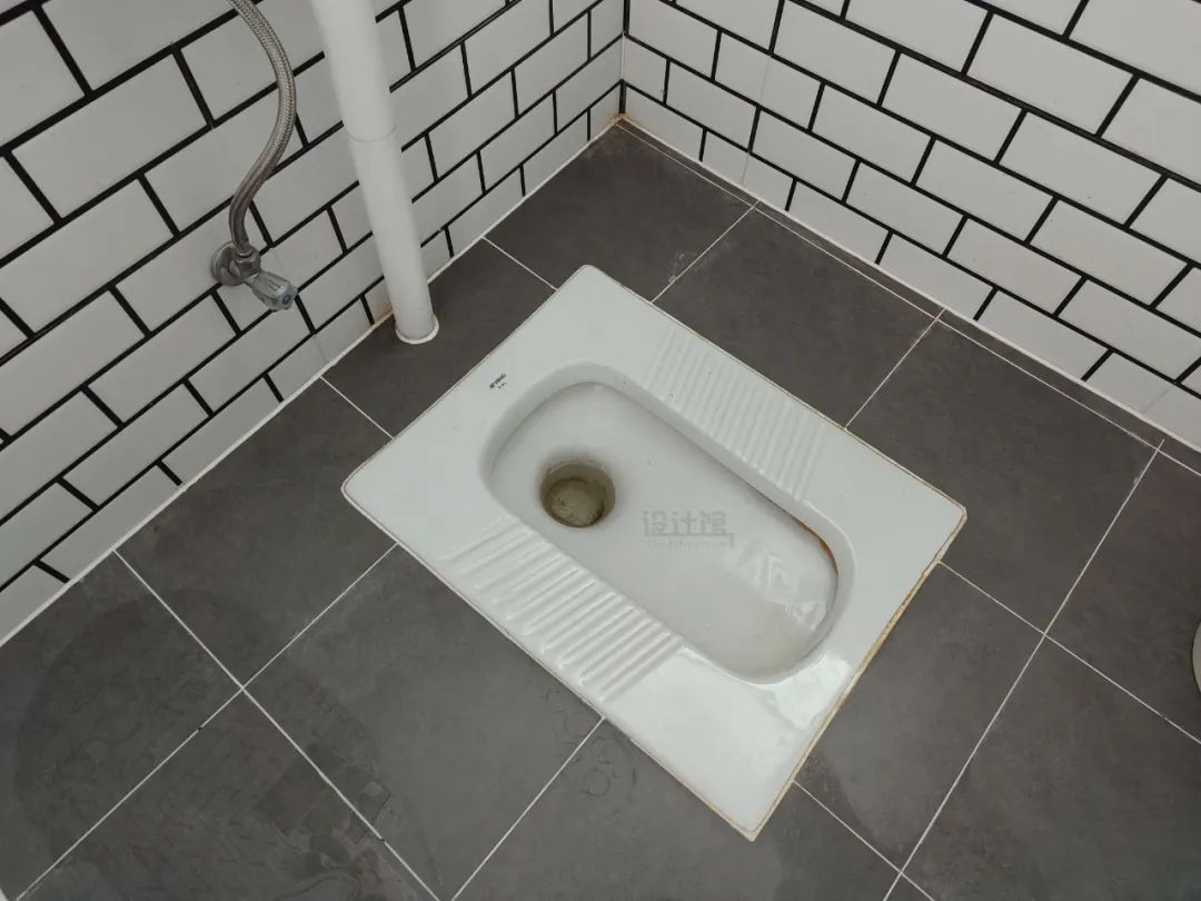 如厕|家里有两个卫生间,要不要装个蹲坑?