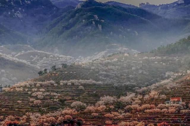 崂山，山海春色安