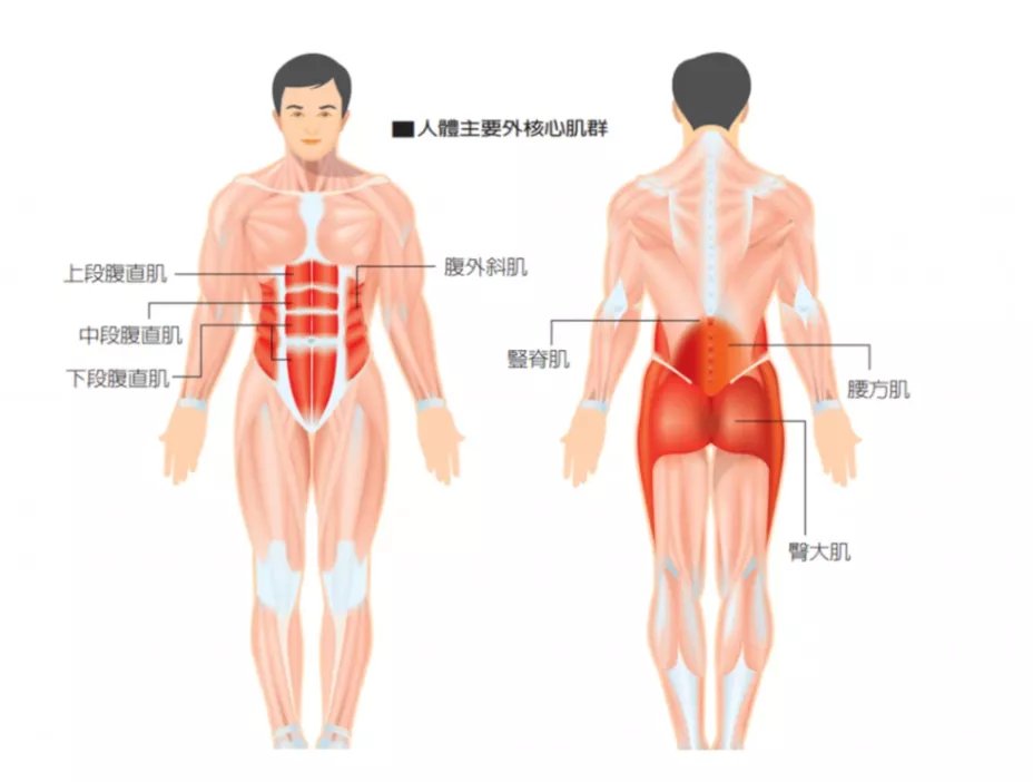 肌群|腹痛17年，63岁江西阿姨每天都像“生孩子”，病根却在脊柱