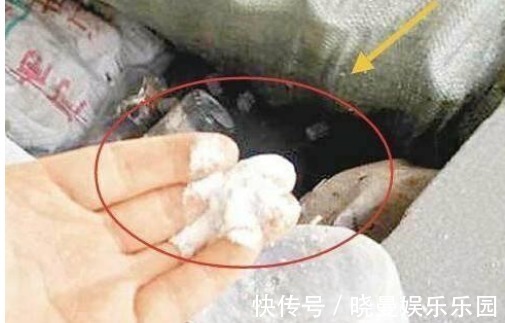 溶解度|“洗衣粉”和“洗衣液”究竟哪个好？不看不知道，“差距”很大