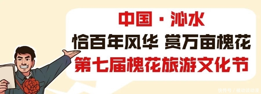 槐花煎饼|郑庄槐花开了！明天10：00为您直播～