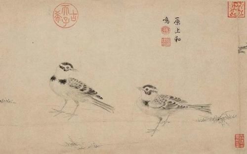 鉴赏｜写生珍禽图，宋代花鸟的典范