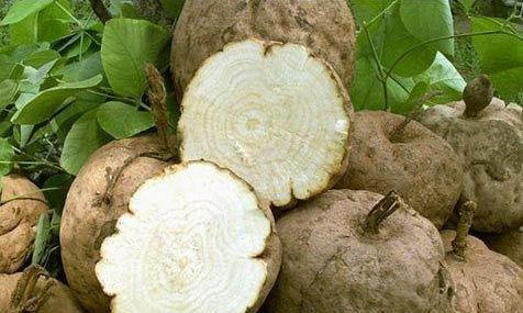 海参|女人要善待自己,多吃6种“零嘴”,补充雌激素,调节身体还美容