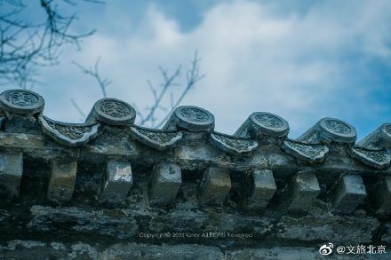 万物|在潭柘寺与古朴肃穆相遇