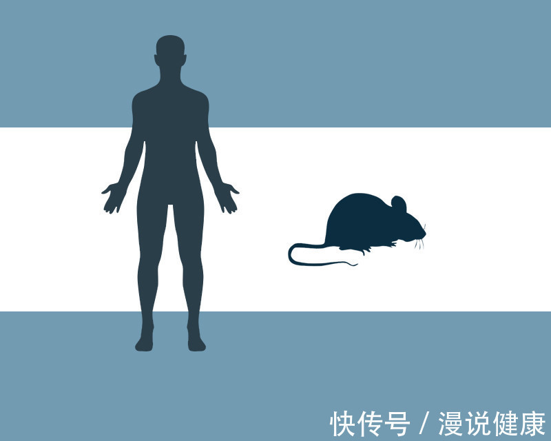 病死率|西安出现多例出血热患者:出血热,到底是什么?致死率又有多高?