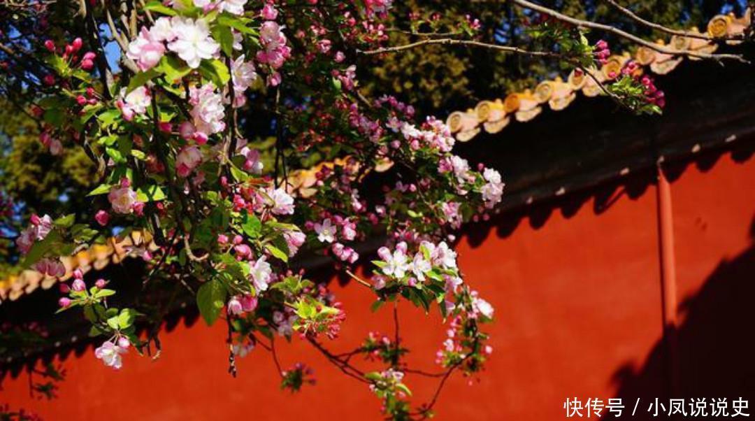 岑参两首不可不读的经典,每一首都很孤独,写出了繁华过后的落寞