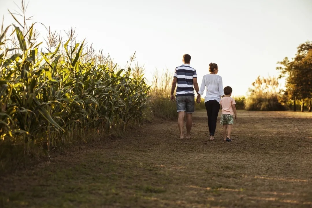 朱子家训|十年后,有出息的孩子都来自这7种家庭,请家长都读一读