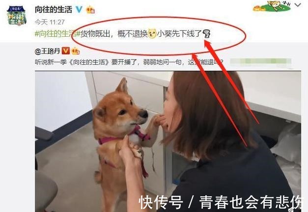 退回|《向往4》錄制,王珞丹喊話想退回瓢哥,誰注意到官方回話