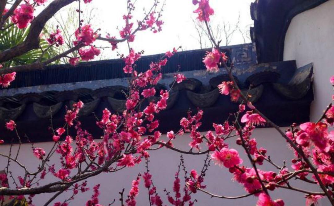 朱淑真婚后依旧思念初恋,写下的这首相思词,每一句都感人至深!