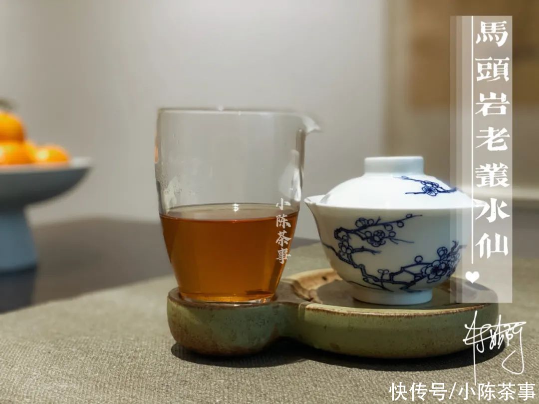 凤凰茶|凤凰单丛、凤凰水仙、岩茶水仙，从历史角度解读水仙茶叶的迁徙史