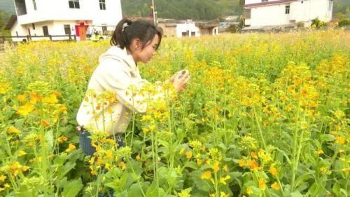 中年|春暖花开，想与你相约七彩油菜花田