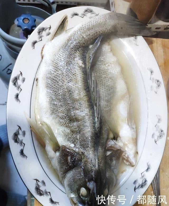 鲈鱼|想吃鱼没有时间做,馋鱼香不会做,试试家常清蒸鲈鱼,就能满足你