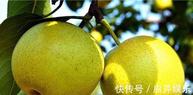 早衰|7女性不想早衰，3种食物别放过，营养丰富，滋补身体，早吃早美