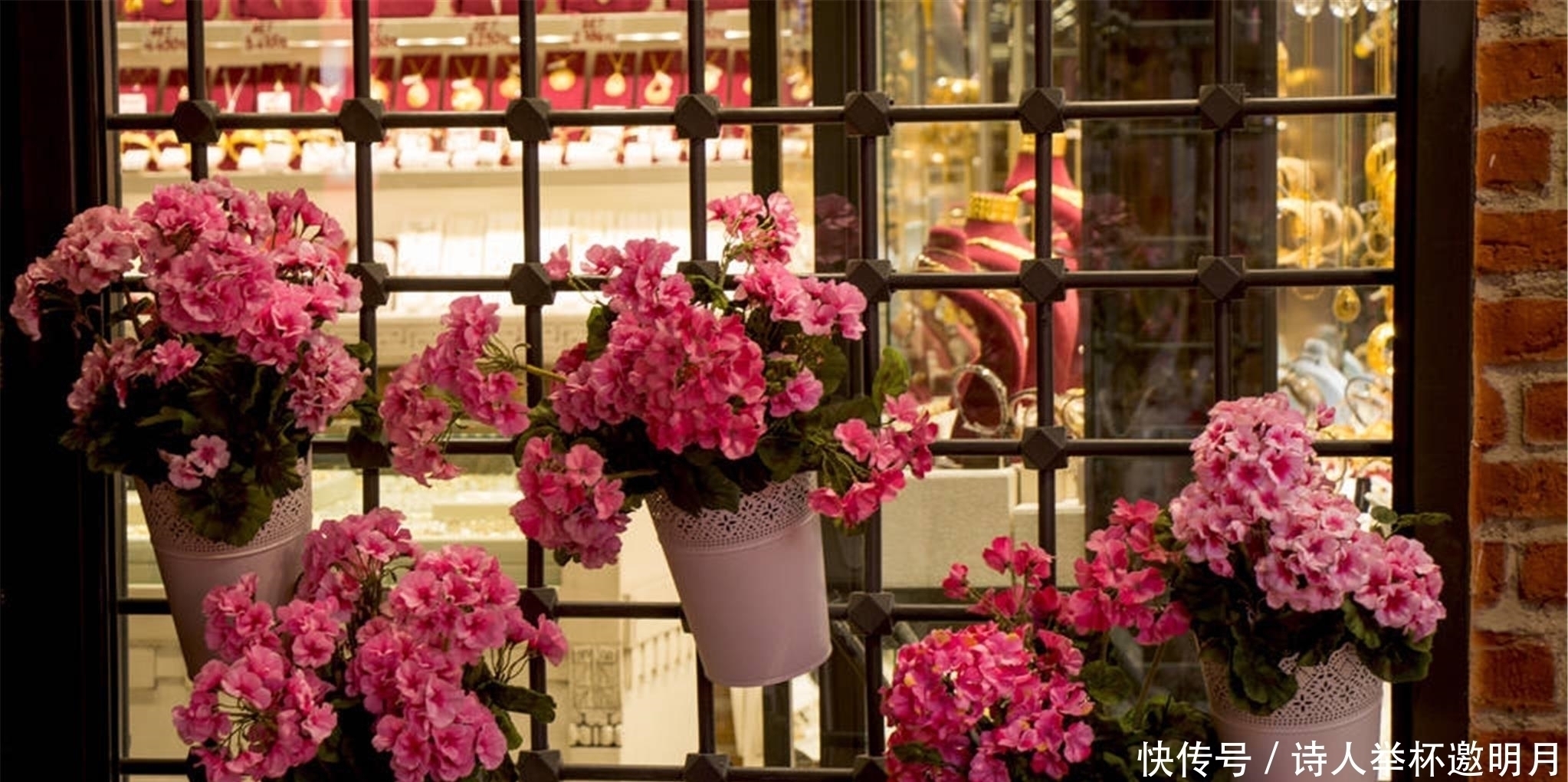 残花|养花有这5个习惯，能让家里变得更加干净整洁，还能身心愉悦