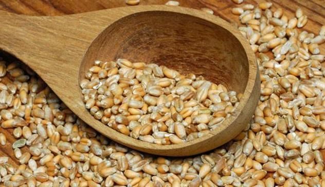 一味不被人熟知的良药,李时珍却说它善于“补气除热、敛汗止汗”