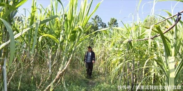  余杭人的心头好，即将上市！曾经风靡全国，很多人小时候都吃过！