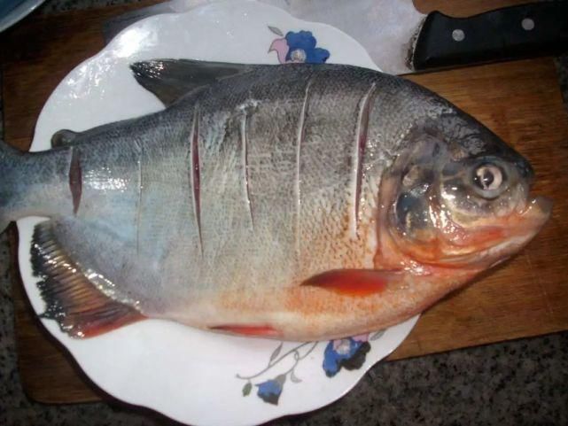 冷食|这些关于食物的冷知识,看完后,终于解开了心中的疑惑!