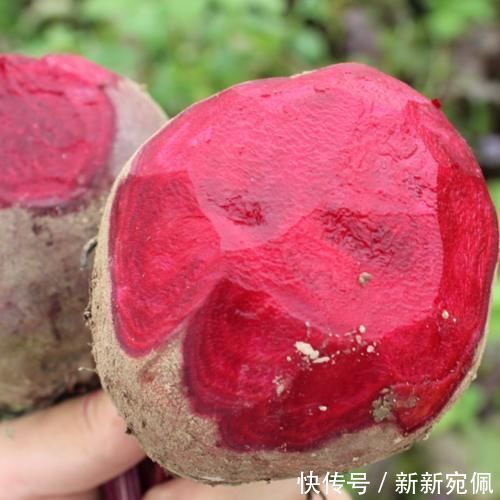 皱纹|补血别吃红枣了，多吃这菜，称为“补血库”，皱纹消失了，润肤又淡斑