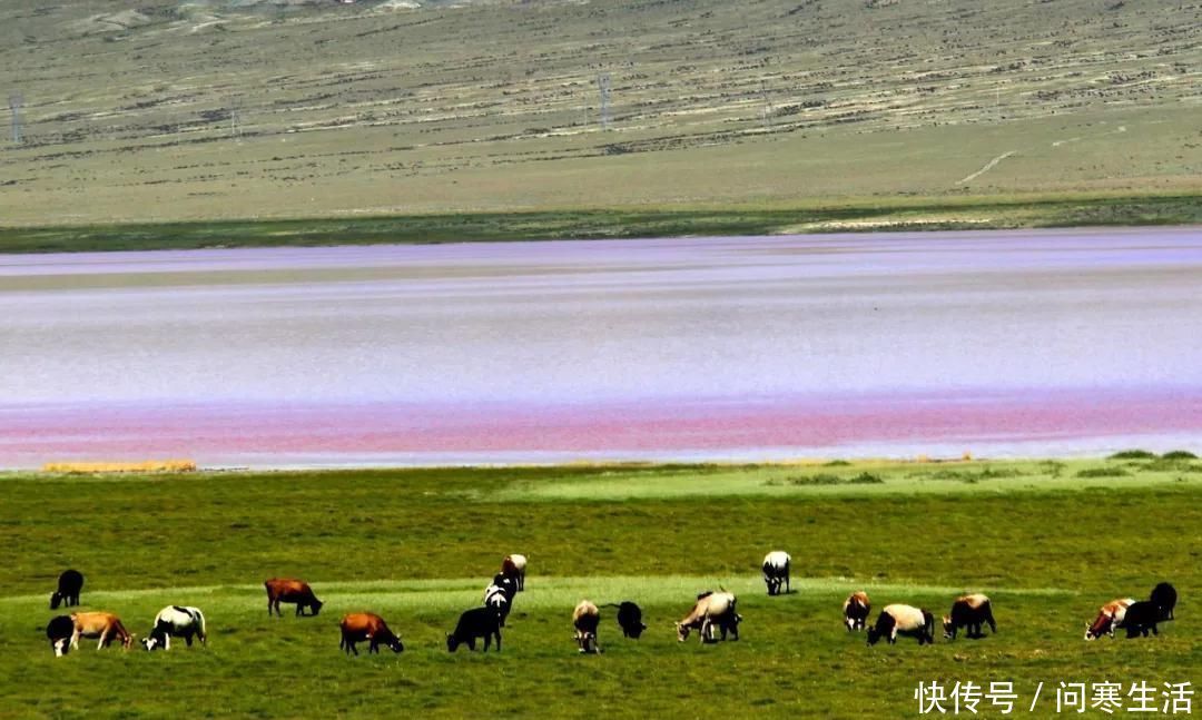 美景|中国最震撼的公路穿越美景无数，美国66号公路都嫉妒