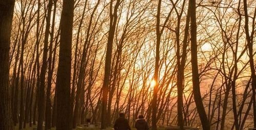 骨科大夫|骨科大夫:不论男女,50岁后,3项运动不宜多做,太毁膝盖