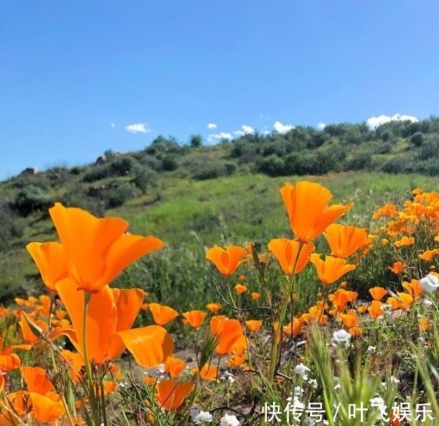 爆表|七天后，春风得意，财运爆表，高薪就业，事业突飞，爱情甜如蜜