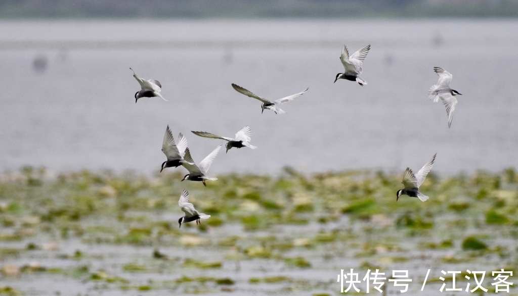 王维|九首情谊古诗词：青山空向一帆远，汀州落日五湖春