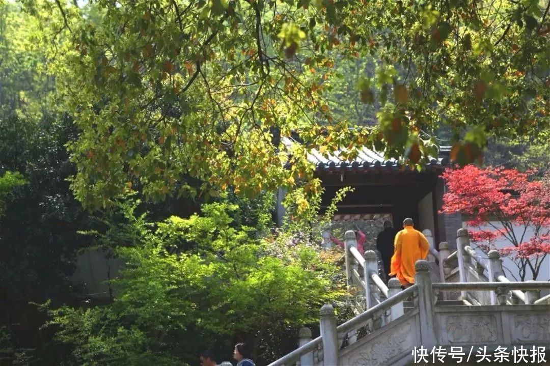 我是谁|佛说:人开悟后是什么样子?真人不露相,露相非真人