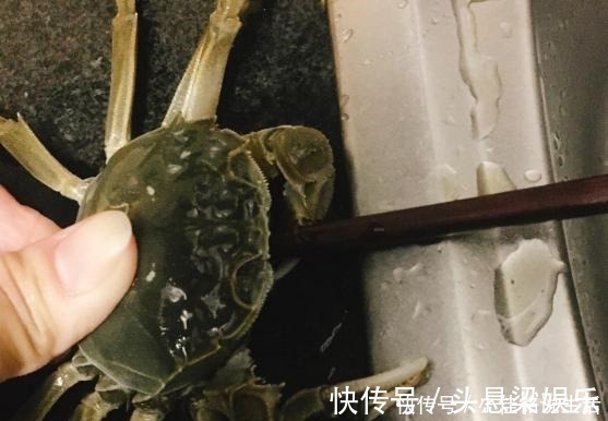 蒸螃蟹有讲究,冷水热水差别大,很多人不懂,怪不得蟹黄不肥