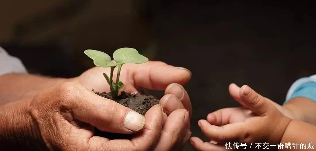 “不孝有三,无后为大”这句古话被人们误解了千年,该怎么理解?