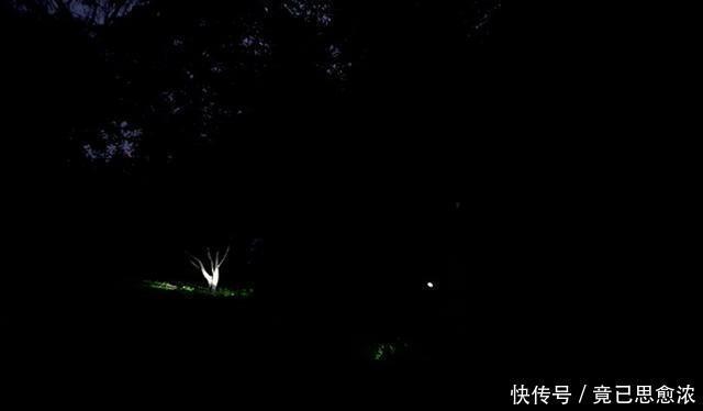 过后|二战时，一千日军战败逃亡一个荒岛，谁知一夜过后只剩20余人！