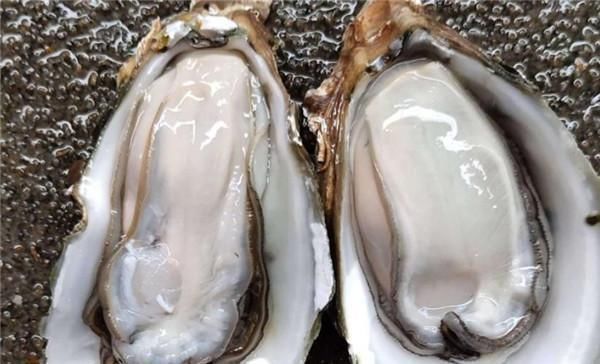 生蚝和海蛎长得很像,到底有什么区别海鲜达人一句话说出答案