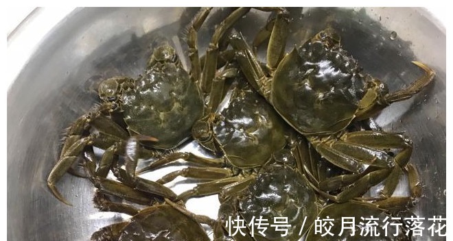 六月黄|三伏天不可错过的美味,肉嫩味鲜,下酒下饭,胜过大鱼大肉!
