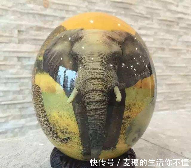  吃鸵鸟肉的人不多，为啥还那么多人养原来还有这些用途