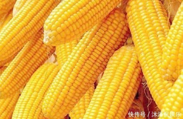 吴医师|爱吃玉米的注意每天晚上吃1根玉米，1个月后身体会有惊喜变化