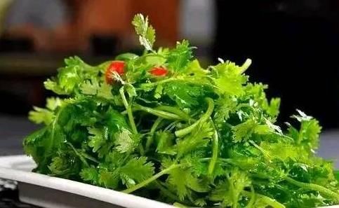 种菜|春天一种菜，尤为适合女性吃，调理月经，养护子宫，越吃越年轻