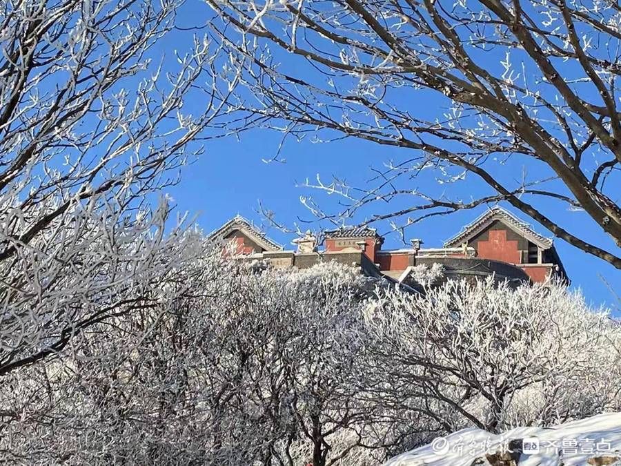 岱顶|壹图集丨腊八泰山迎瑞雪，岱顶秒变“琼楼玉宇”