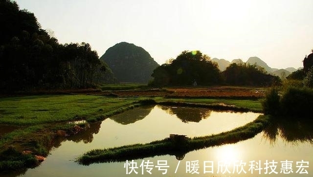 鱼儿|野钓想要连竿爆护,就必须弄明白这五个重要因素,才能鱼获满满