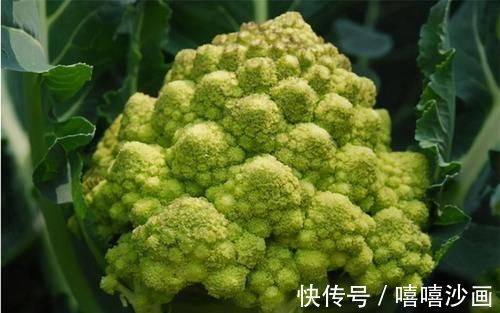 结节|为何“肺结节”越来越多？医生劝说：3种食物少碰，肺会感谢你
