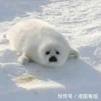 |10个幽默小笑话,开心一笑