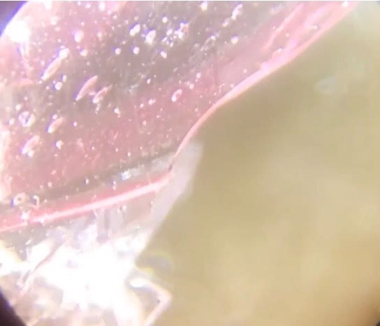 小时候|奇闻小时候吃过的棒棒糖放大百倍,没想到,网友终于等到了