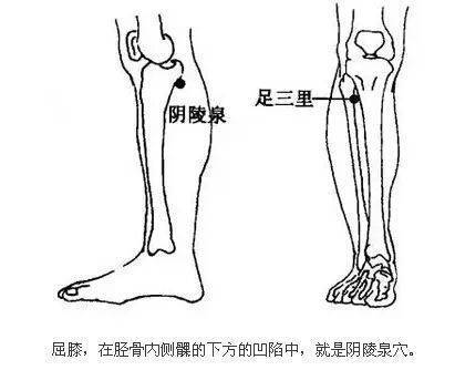 老中医|脾，后天之本！老中医带你品味人体脾经大药！补脾通络，胜吃补药